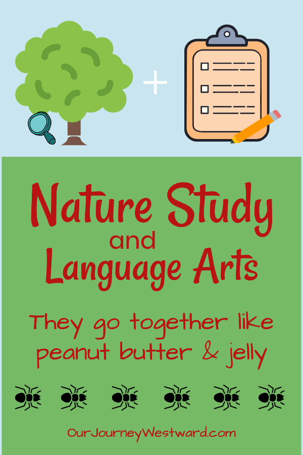 Nature study and language arts go hand in hand. Nature study is a great way to promote language arts skills. #homeschool #languagearts #naturestudy #science