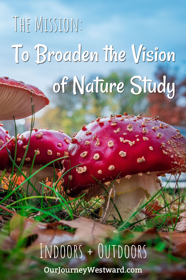 Is your vision of nature study simply that of nature walks? It can be so much more! #homeschool #naturestudy