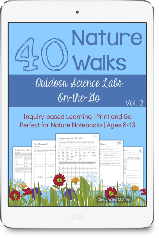 40 Nature Walks Vol. 2 curriculum with different tones of blues, flower drawings, and sample notebook pages on the front.