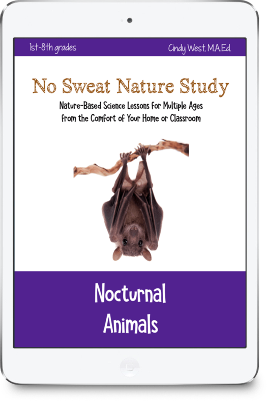 Nocturnal Animals Nature Study