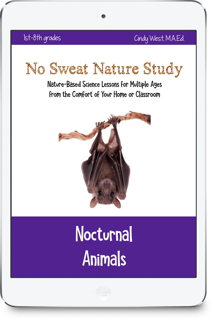 No Sweat Nature Study: Nocturnal Animals Science Curriculum
