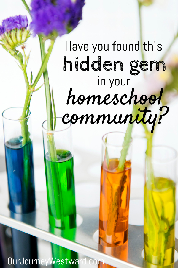 Test tubes with green, blue, orange, and yellow liquid with flowers in them. It is the image for a blog post about a hidden gem in your homeschool community.