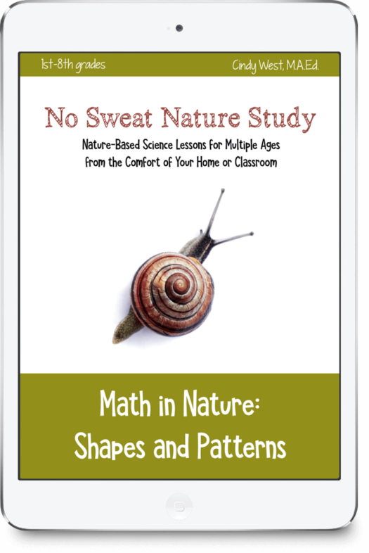 No Sweat Nature Study: Math in Nature Curriculum