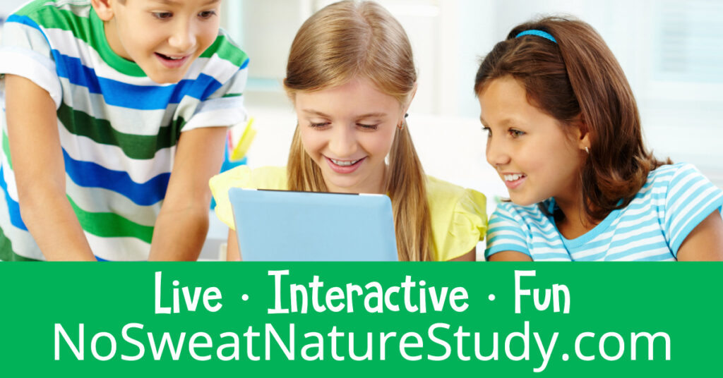 Let Mrs. Cindy help you teach science through nature study from the comfort of your home!