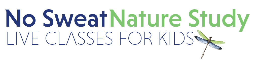 No Sweat Nature Study LIVE logo