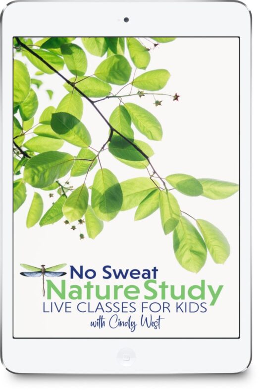 No Sweat Nature Study LIVE Membership