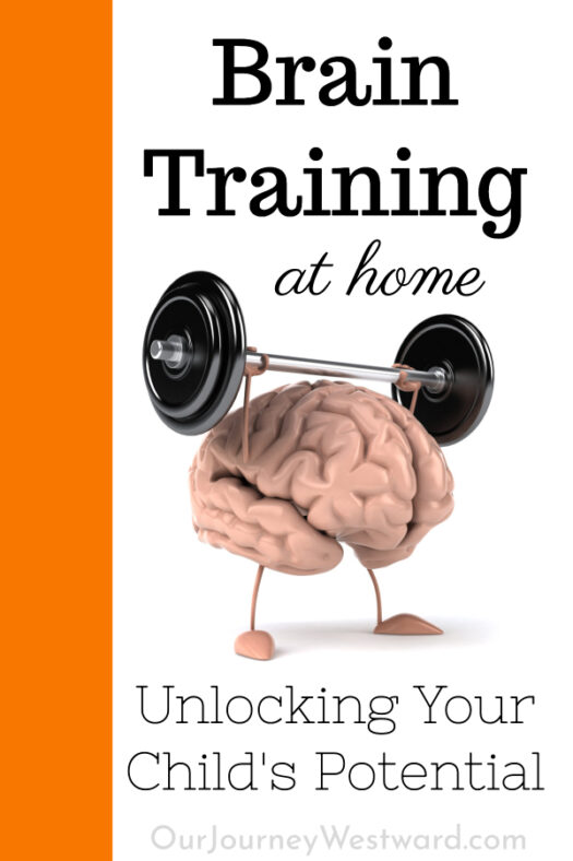 Brain Training FUN Ways to Build Stronger and Faster Brains