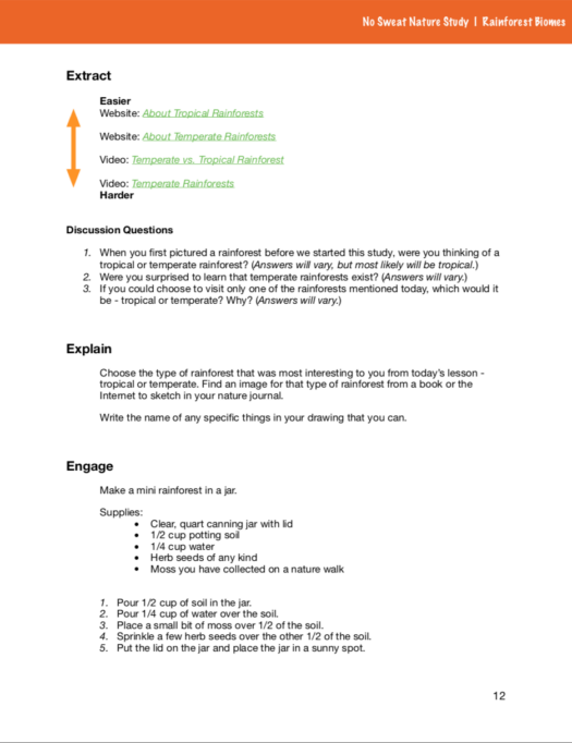 Page of curriculum about rainforest biomes with an orange stripe on top of the page.