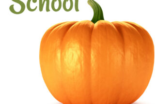 A bright orange pumpkin with a green stem. Used as the cover for a post about pumpkin school