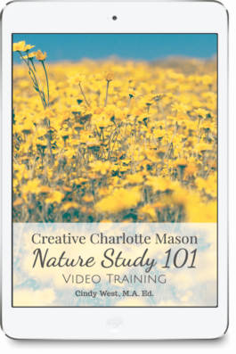 iPad image of a field of yellow flowers for a Nature Study 101 course.