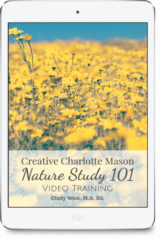 iPad image of a field of yellow flowers for a Nature Study 101 course.