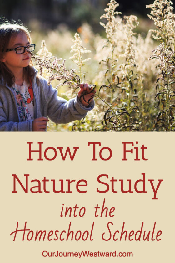 How To Fit Nature Study Into Your Homeschool Schedule