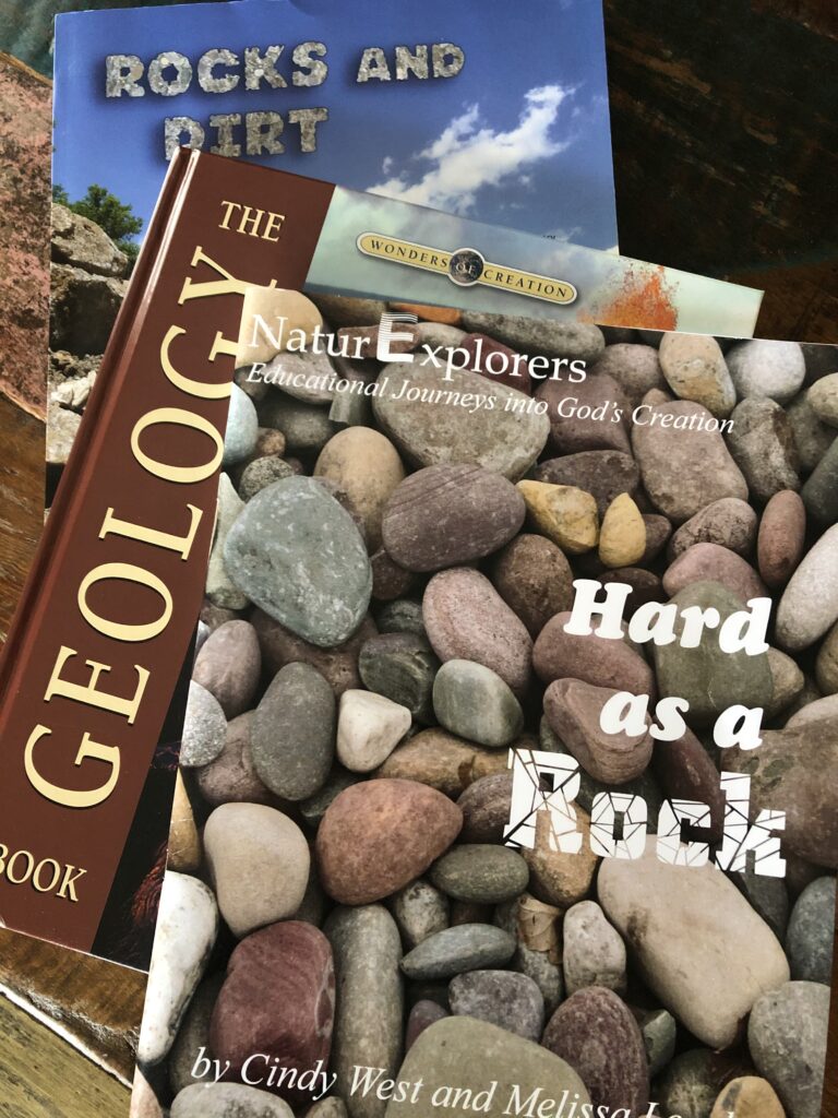 This trio has been the perfect combination for a well-rounded middle school geology study!