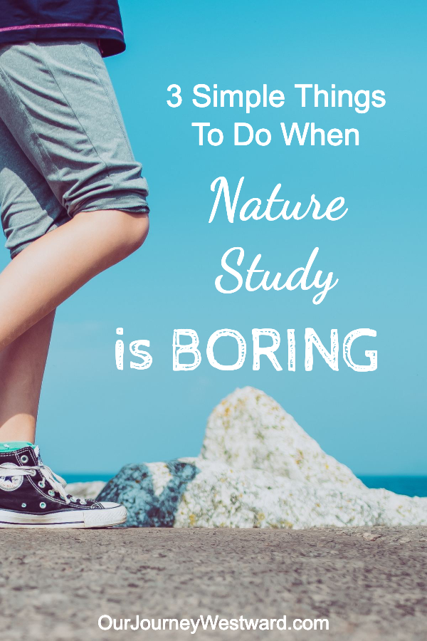 When nature study is boring, these tips will turn things around!