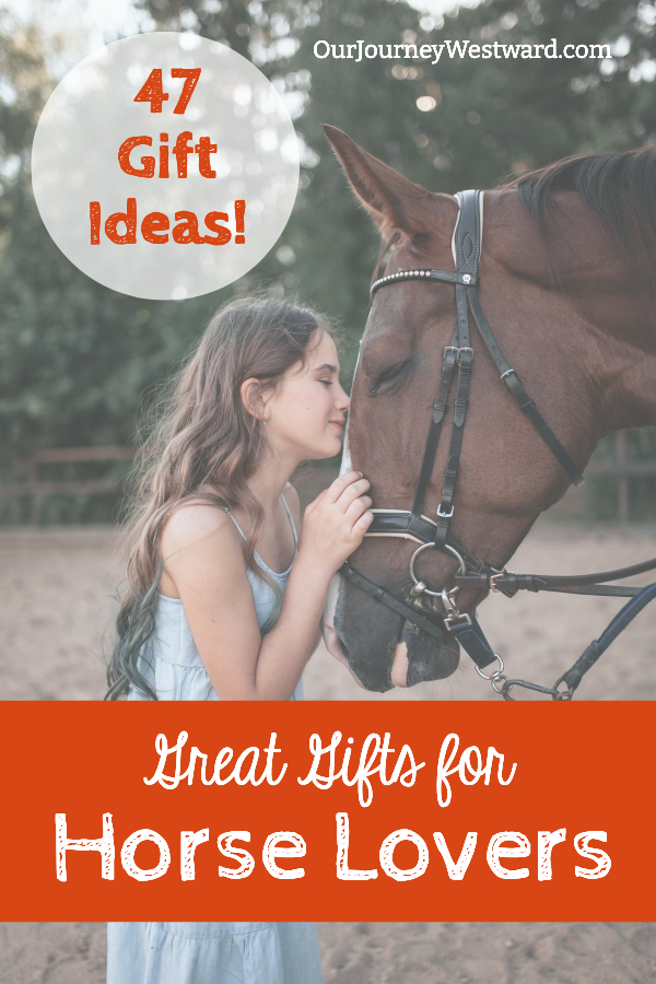 A girl in a blue dress and long, dark hair loves on a chestnut horse with a black bridle on. They are standing in a sandy arena. This is for a blog post about gifts for horse lovers.