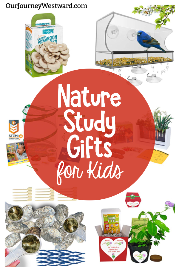 Different nature study kits with a red circle with the title "Nature Study Gifts for Kids" used in a blog post about nature study gifts.