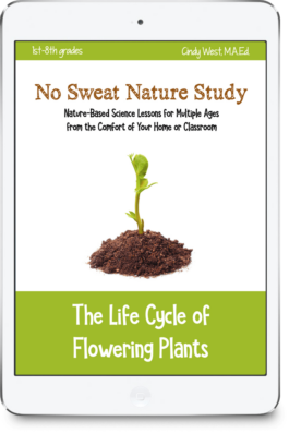 The Life Cycle of Flowering Plants curriculum cover with brown and green accents. In the center is a small pile of dirt with a green sprout coming out of it.