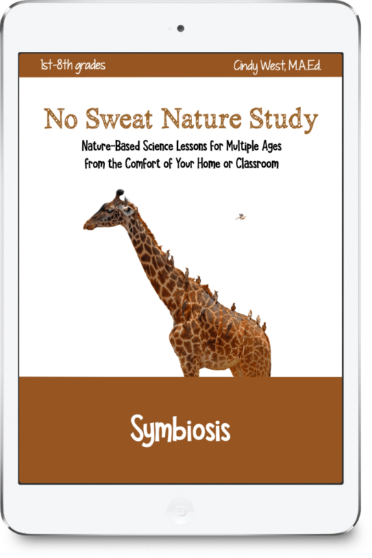 Symbiosis No Sweat Nature Study curriculum. The cover has a giraffe with many small birds sitting on its back and neck. Also has a brown banner on the top and bottom.