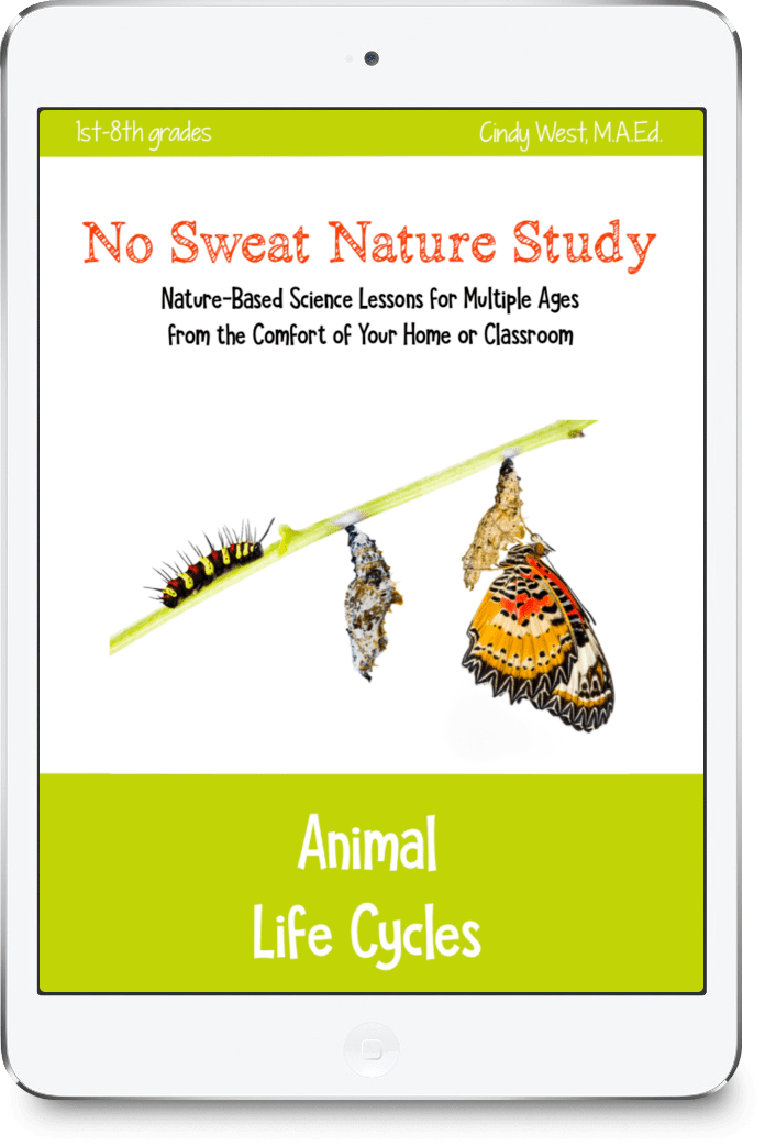 Animal Life Cycles Curriculum - No Sweat Nature Study