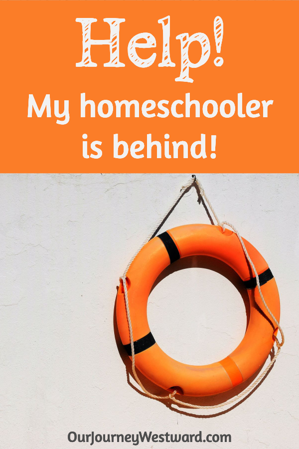 orange life preserver promoting a blog post for homeschool help.