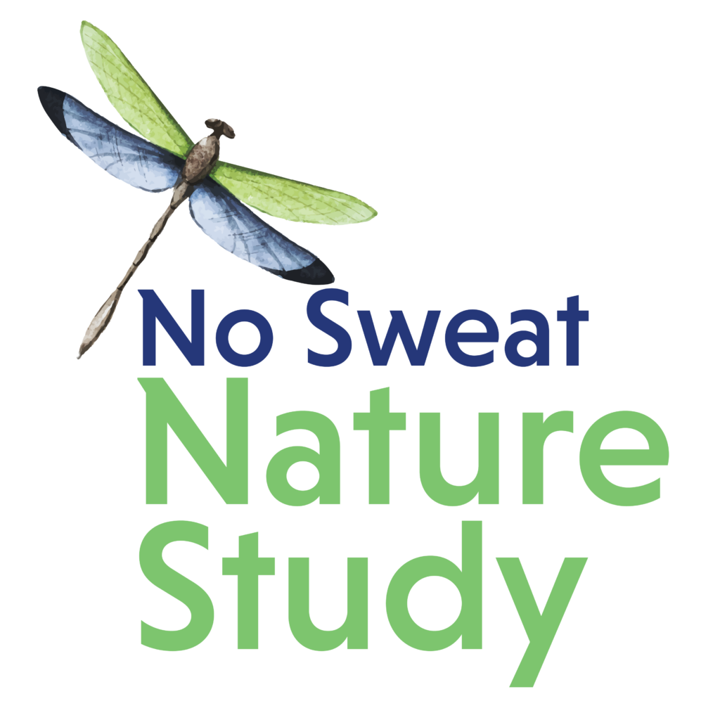green and blue dragonfly with blue No Sweat text and green Nature Study text