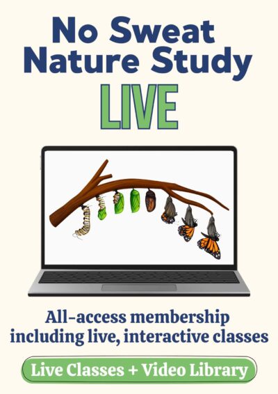 No Sweat Nature Study LIVE Membership