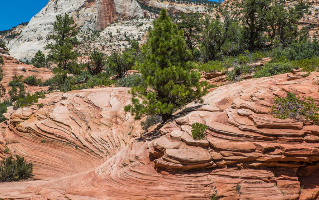 Bryce Canyon sedimentary rocks