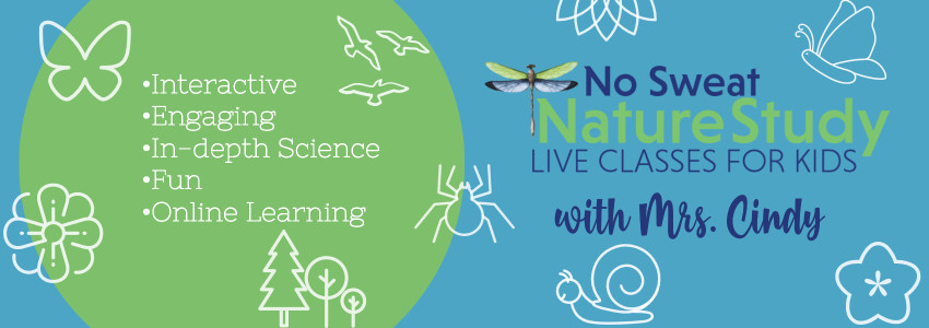 No Sweat Nature Study LIVE advertisement with little white nature icons on a blue and green banner