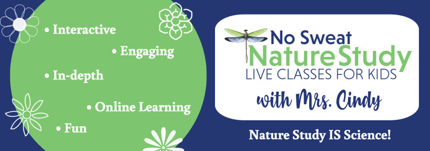 No Sweat Nature Study LIVE Membership