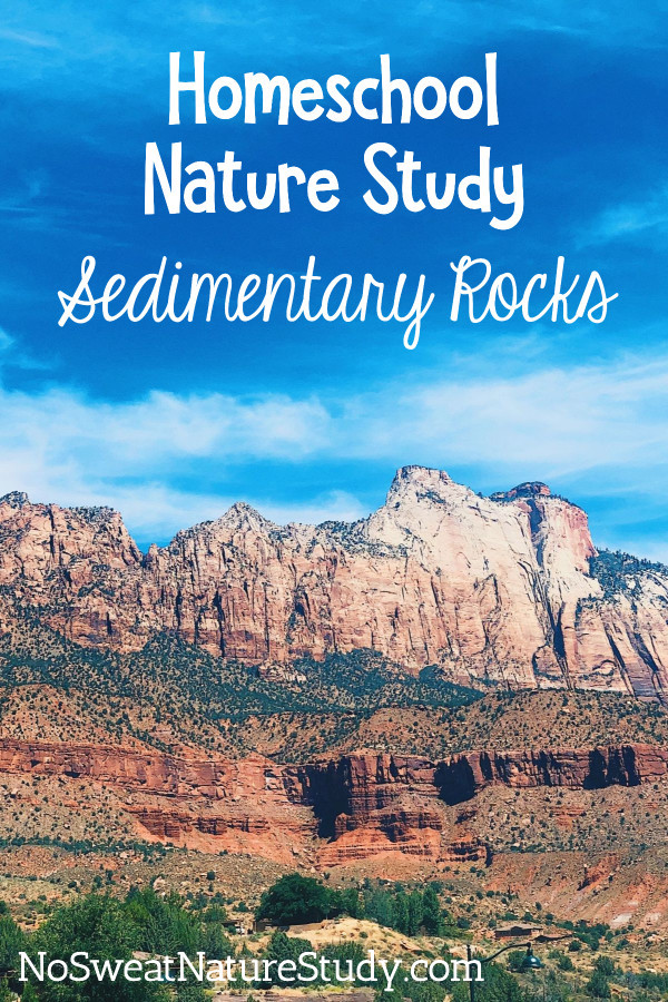 Sedimentary Rocks Nature Study