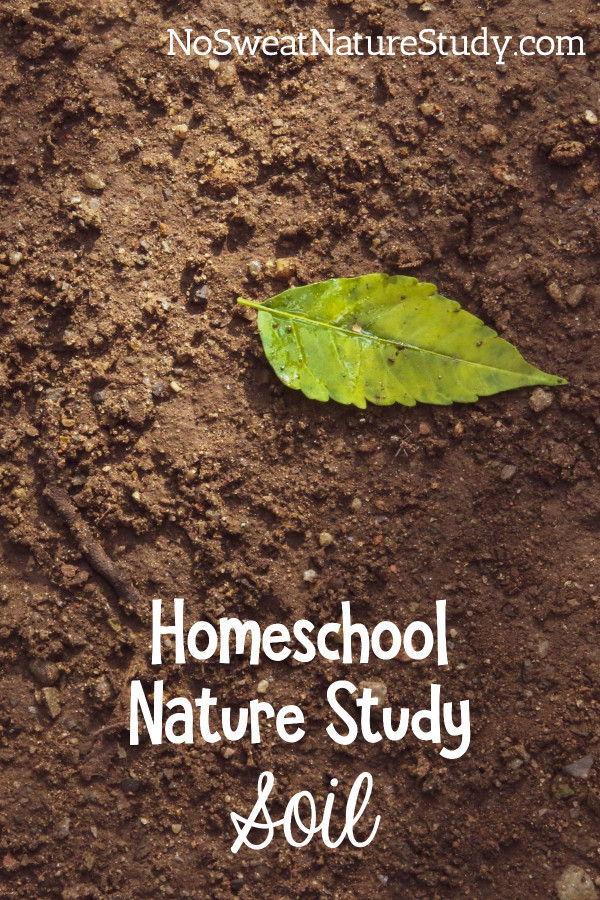 Soil Nature Study