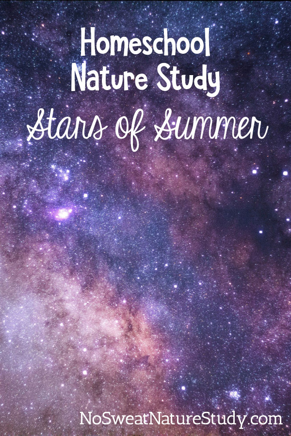 Advertising a stars of summer nature study podcast, there is a beautiful array of purple and pink sky with bright stars