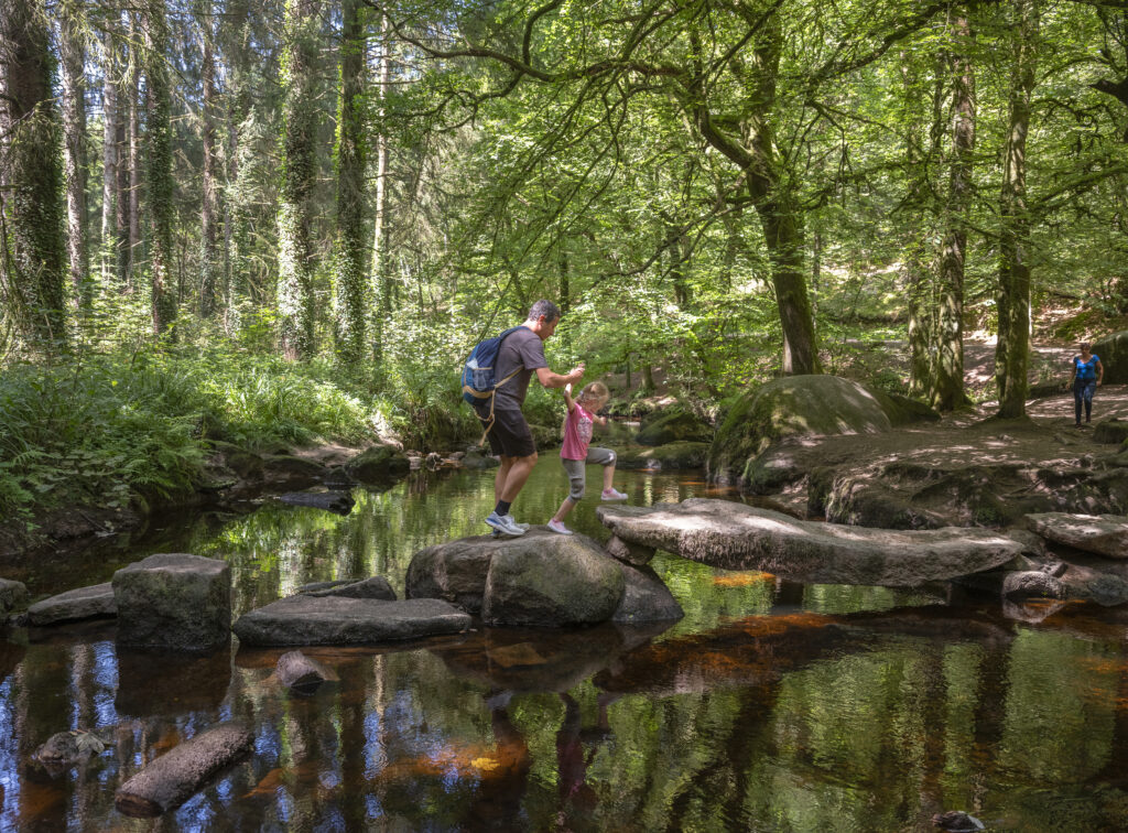 family crossing rocks over creek