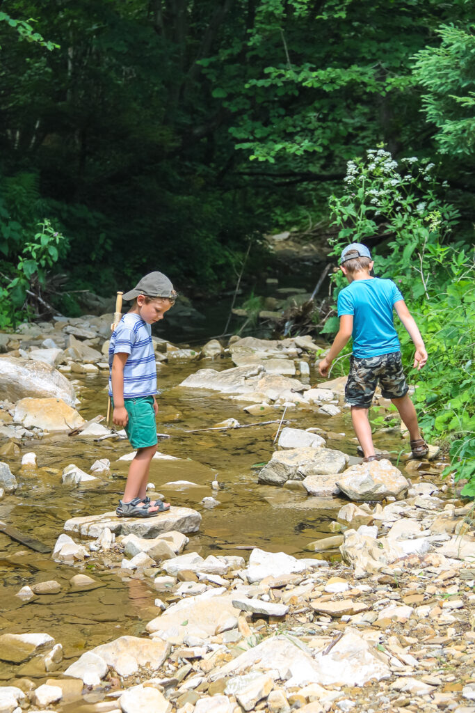 children playing in stream