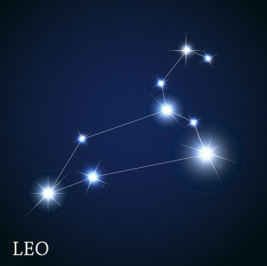 Study Stars Homeschool Nature Study: Stars in the Night Sky