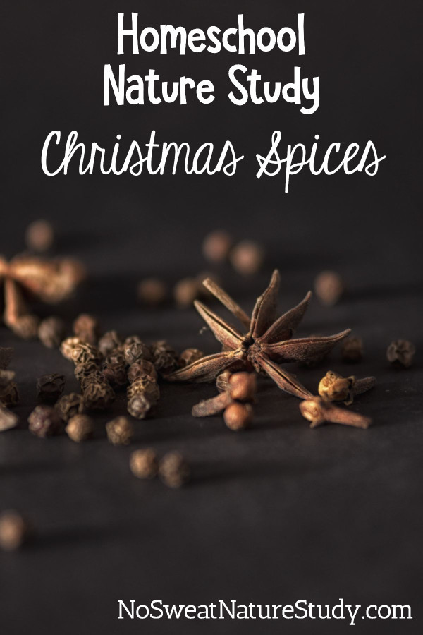 Cloves and whole spices on a black table