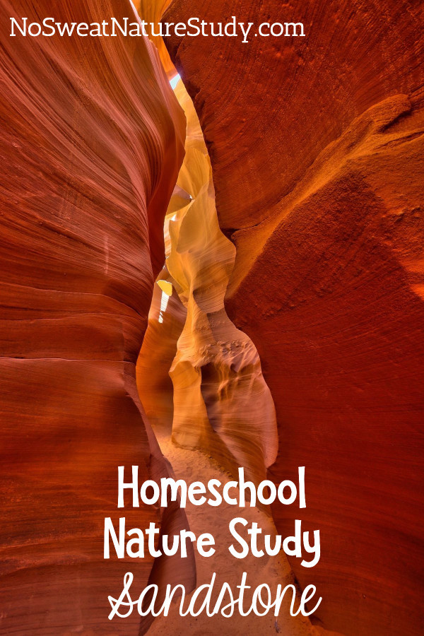 Sandstone Nature Study for Homeschoolers