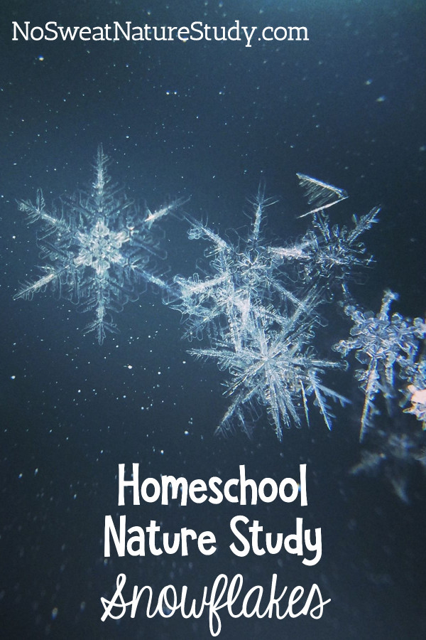 Snowflake Nature Study for Kids