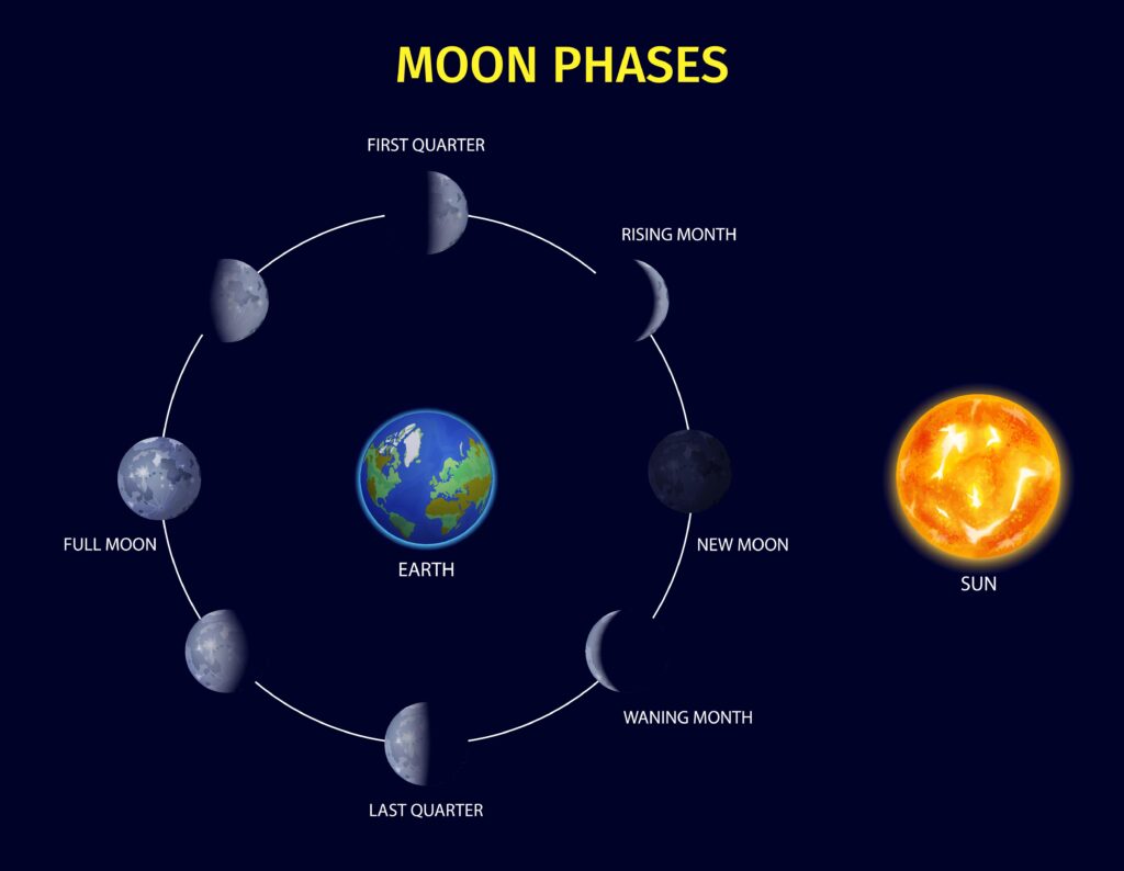 moon phases chart