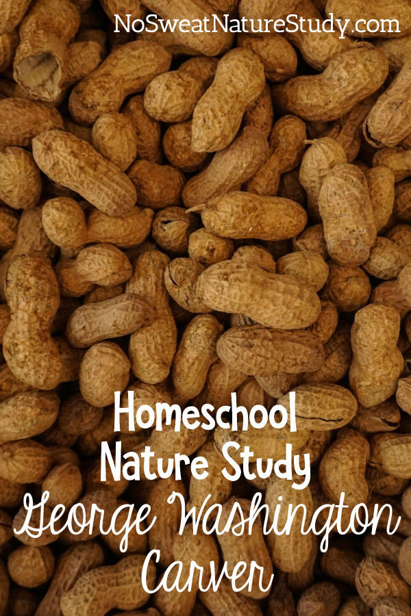 George Washington Carver Nature Study for Homeschooling Families