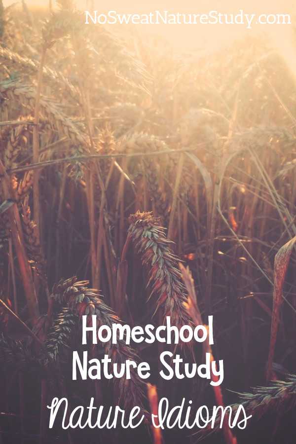 49. Connecting Idioms to Nature Study in the Homeschool