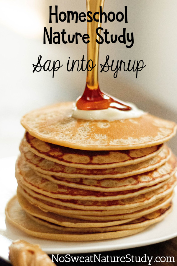 golden brown maple syrup pours down over a towering stack of fluffy pancakes