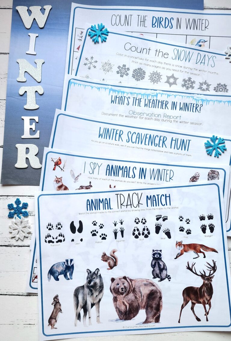 Winter Nature Study Printable Packet