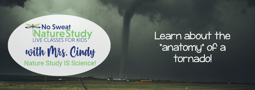 Dark grey tornado in a grey sky touches down on land. This image is for an advertisement for a class about tornadoes.
