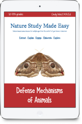 iPad icon with red trim with a brown moth in the middle. It is the cover for a curriculum about defense mechanisms of Animals