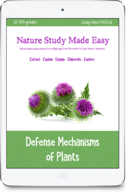 iPad image with green trim with pink and green thistle flowers in the middle. Cover for a curriculum about Defense Mechanisms of Plants.