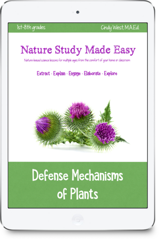 iPad image with green trim with pink and green thistle flowers in the middle. Cover for a curriculum about Defense Mechanisms of Plants.
