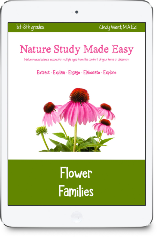 iPad icon with green trim and pink coneflowers in the middle. Used as the cover for a nature study curriculum about flower families.
