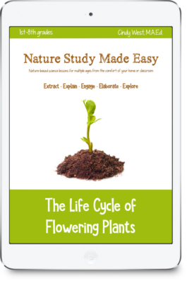 iPad with green trim and a plant sprouting form a pile of soil in the middle of the screen. This is used as the cover for a curriculum about the life cycle of flowering plants.