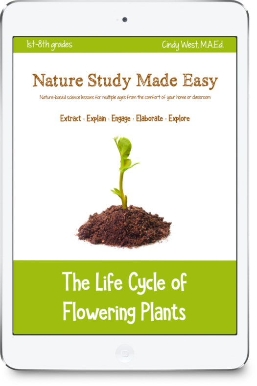 iPad with green trim and a plant sprouting form a pile of soil in the middle of the screen. This is used as the cover for a curriculum about the life cycle of flowering plants.